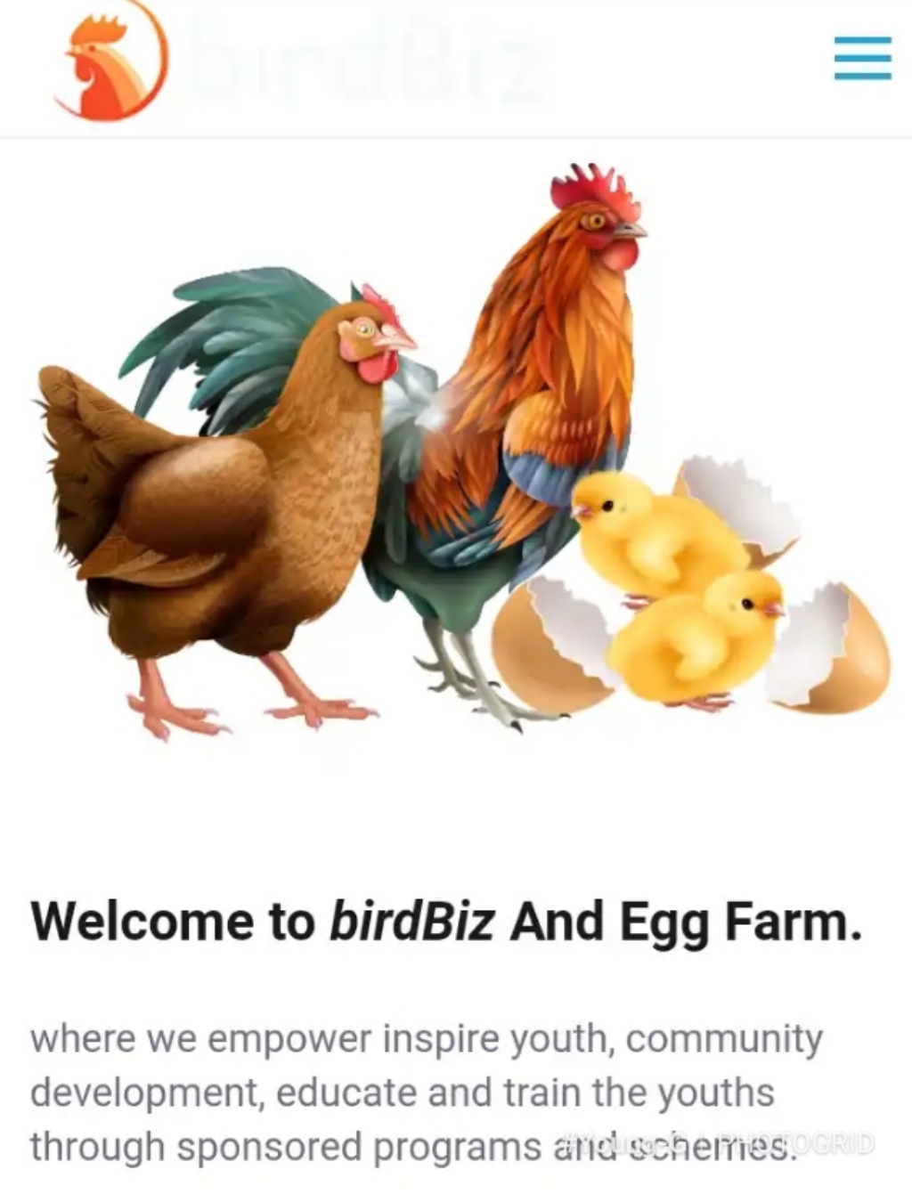 Birdsbiz.com Reviews – Scam or legit ? Know more about it now!!