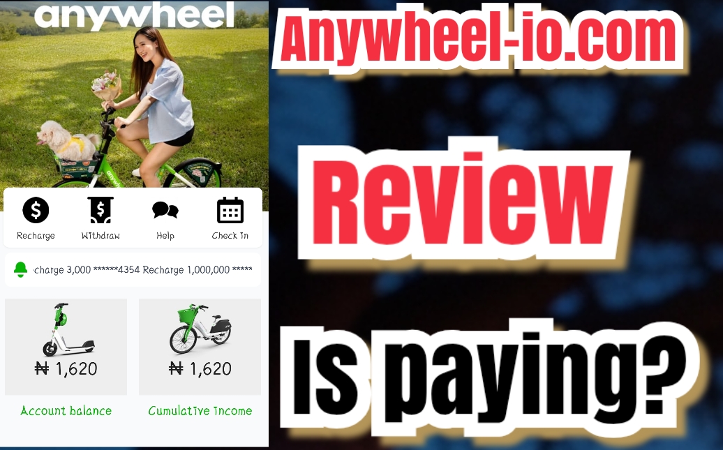 anys-wheelq.com product image